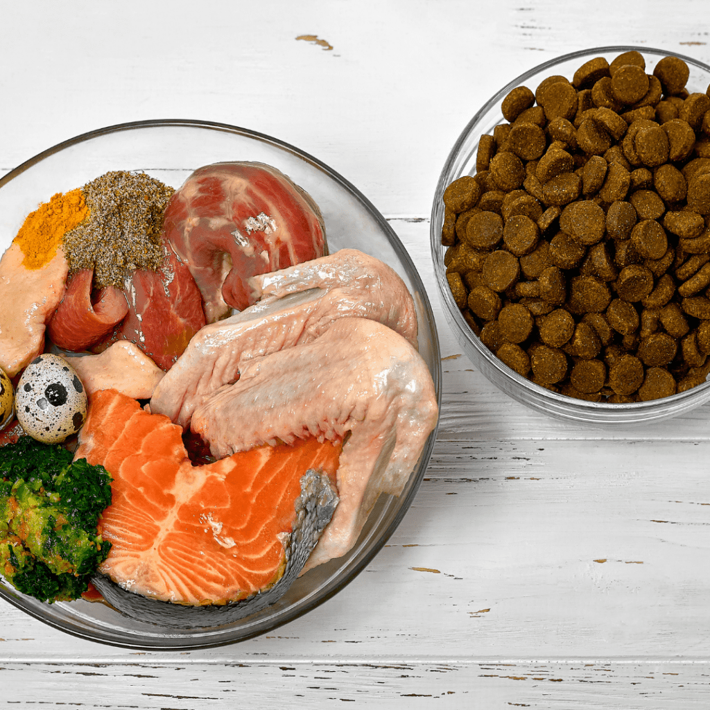 dieta barf para gatos