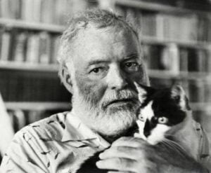 nombres de gatos famosos